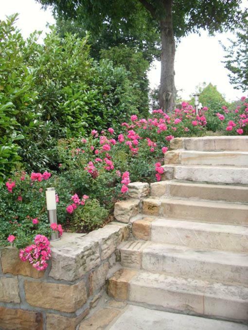 Villa Fleurie Schledehausen Bagian luar foto